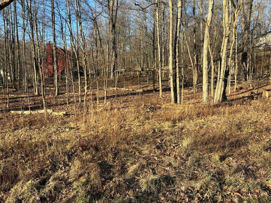 398 Valleyridge Dr unit 504, Howard Township, OH 43028 - photo 1