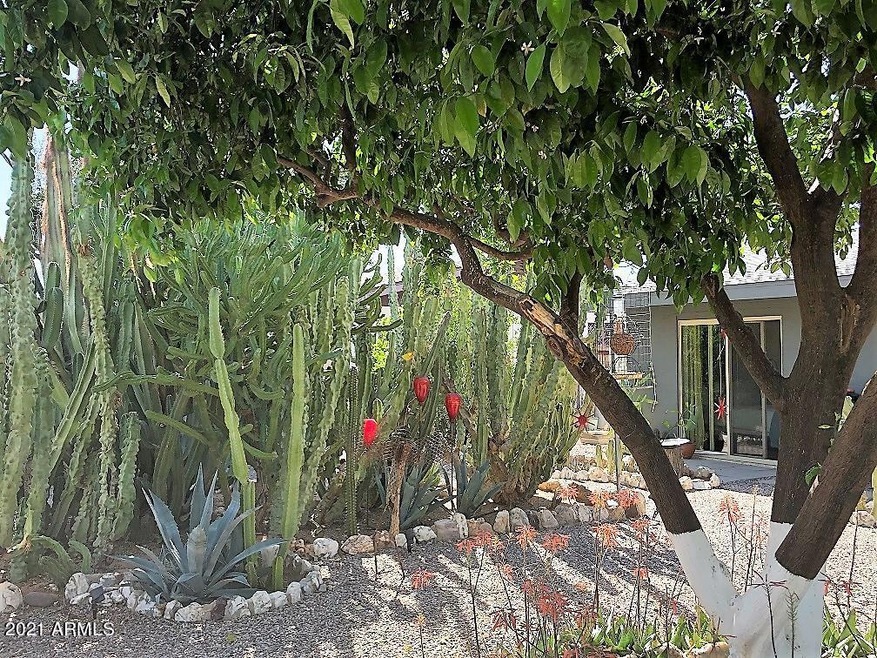 Backyard Paradise