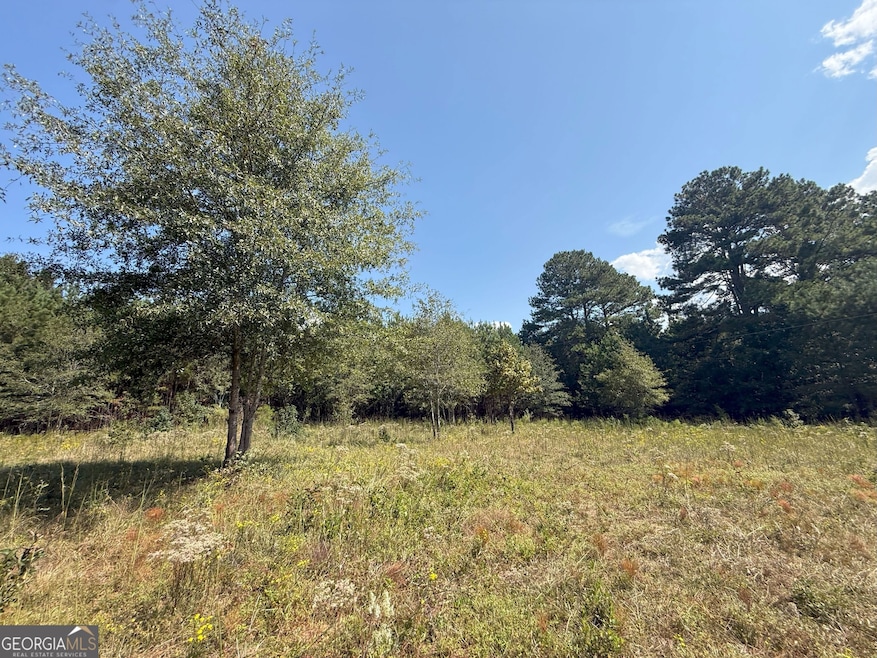 9894 Jefferson River Rd, Athens, GA 30607 - photo 1