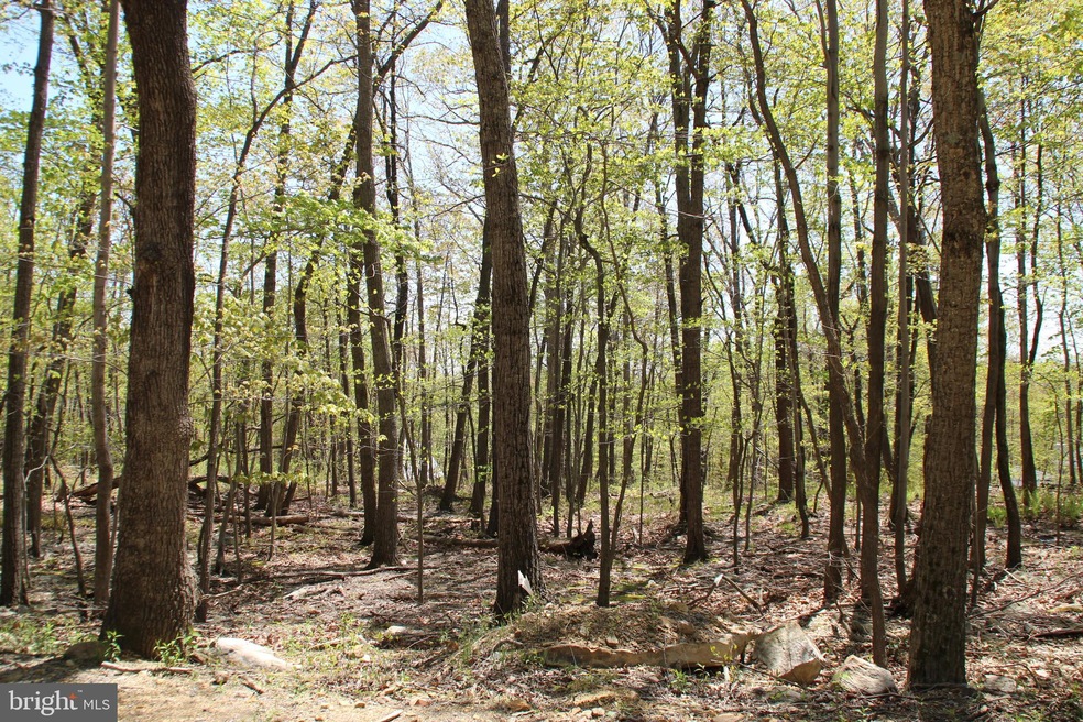 215 Fox Dr, Winchester, VA - photo 1