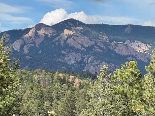 20461 S Wandcrest Dr, Pine, CO 80470 - photo 1