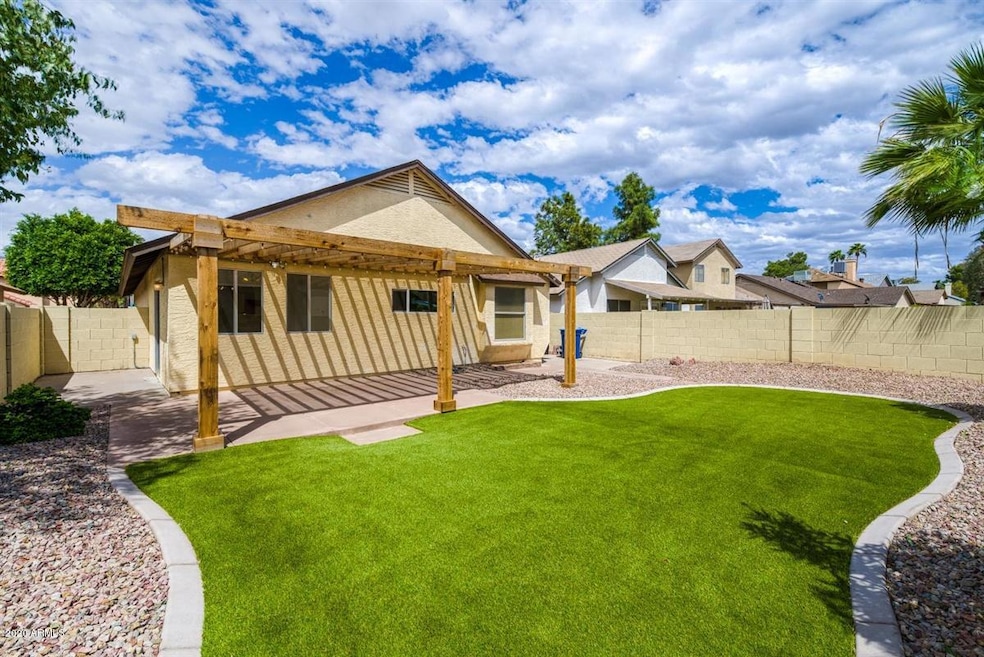 New Backyard Landscape