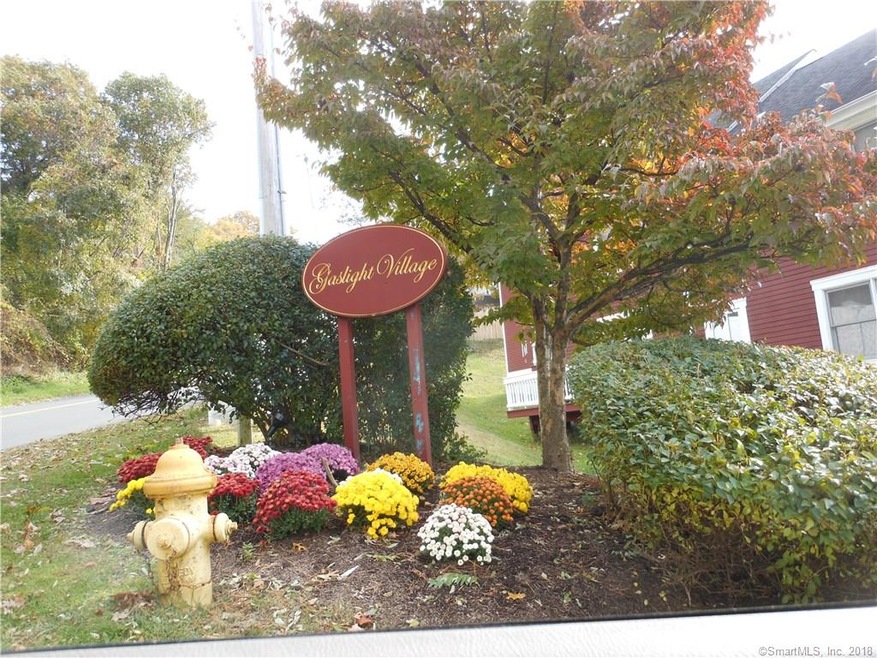 7 Dean St unit 110, Danbury, CT 06810 - photo 1