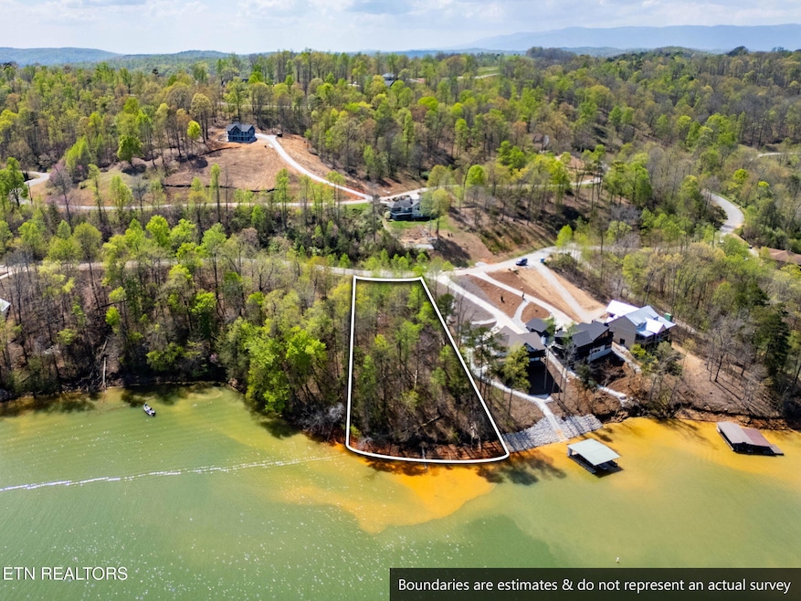 14-web-or-mls-DJI_0277-HDR-24 - wht ln