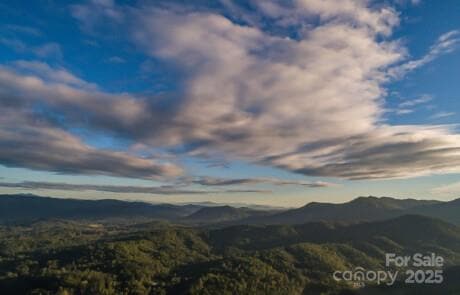 Views are spectacular throughout this community, you won't believe what you see for this price on this lot! :)