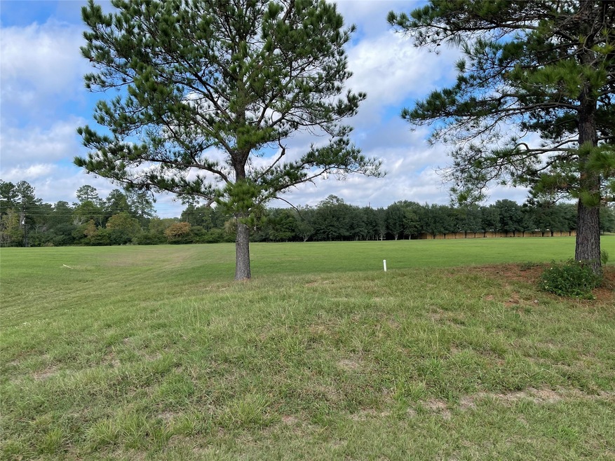 Lot 3 Meadow Lake, Magnolia, TX 77355 - photo 1
