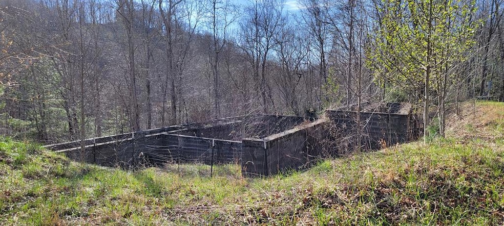 130 Richter Dr, Topton, NC 28781 - photo 1