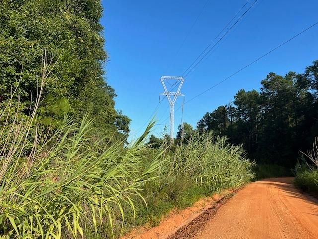 0 Curry Rd, Monroeville, AL 36460 - photo 1