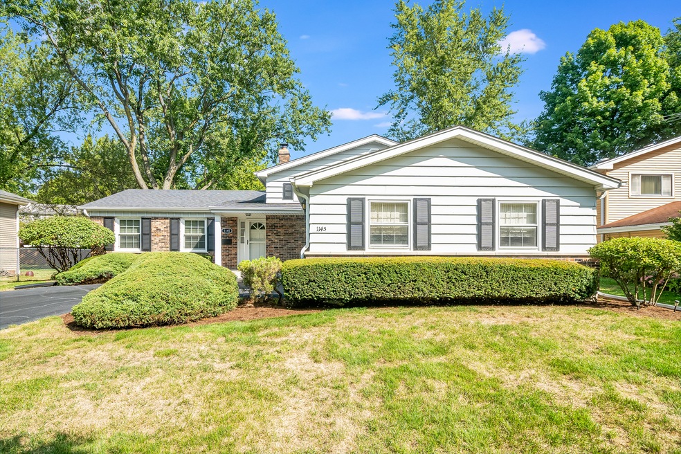 1145 Elizabeth Ave, Naperville, IL 60540 - photo 1