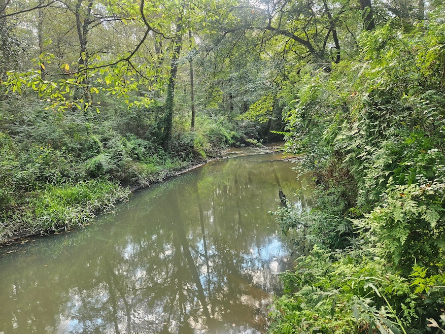 153-63 Houston Rd, Mount Olive, MS 39119 - photo 1