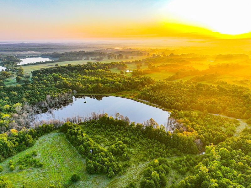 0 Bill Dexter Rd unit LotWP001 24537982, West Point, MS 39773 - photo 1