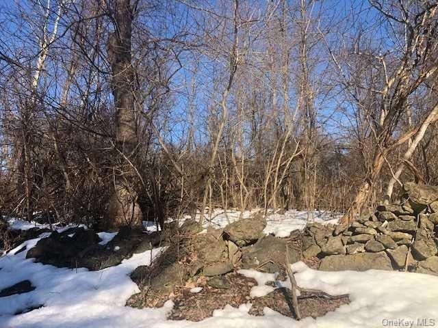 0 Stormville Rd, Stormville, NY 12582 - photo 1