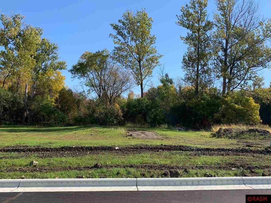 2176 NE Maple Leaf Ln, Owatonna, MN 55060 - photo 1