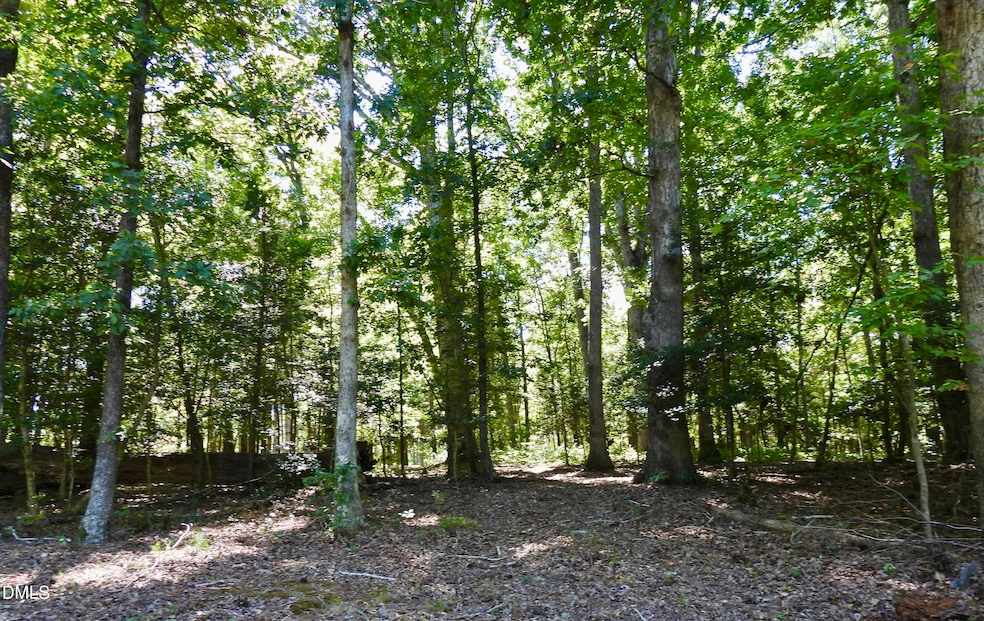 263 Russell Chapel Church Rd, Pittsboro, NC 27312 - photo 1