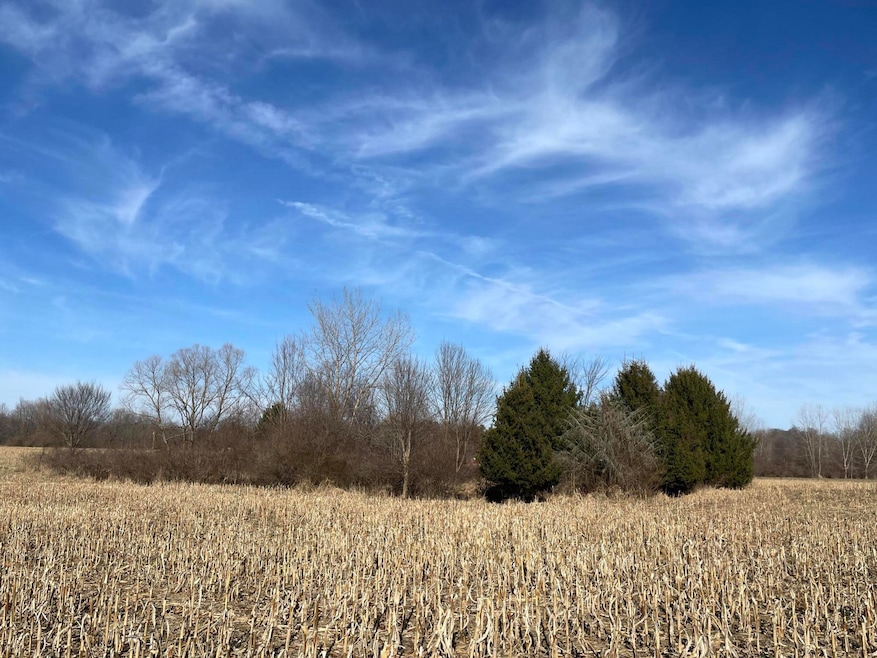 0 48th Ave unit 25050708, Lawrence, MI 49064 - photo 1