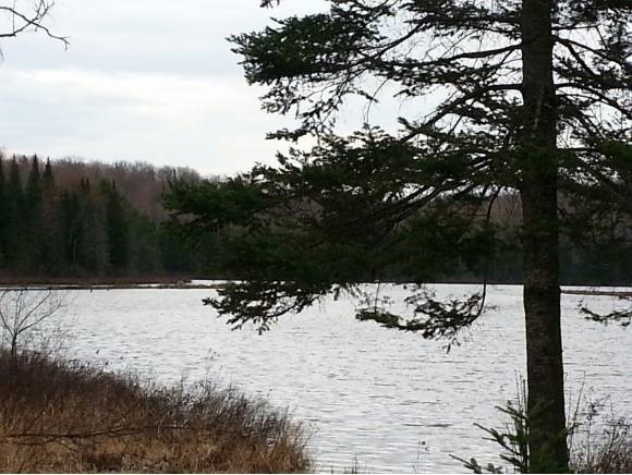 0 Foster Hill Rd unit 4206656, Littleton, NH 03561 - photo 1