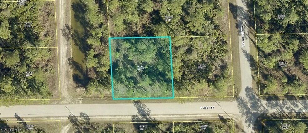 2905 E 21st St, Lehigh Acres, FL 33920 - photo 1