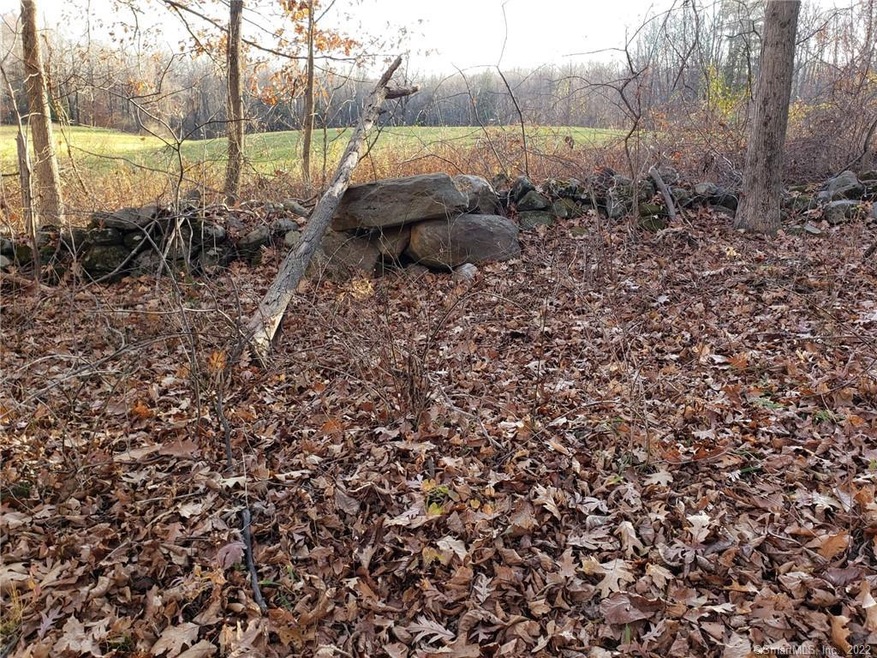 390 Bruning Rd, New Hartford, CT 06057 - photo 1