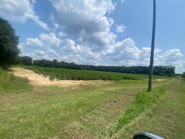 5368 Honey Suckle Rd, Baconton, GA 31716 - photo 1