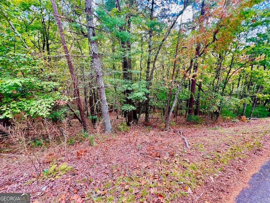 577 Tonto Dr, Ellijay, GA 30540 - photo 1