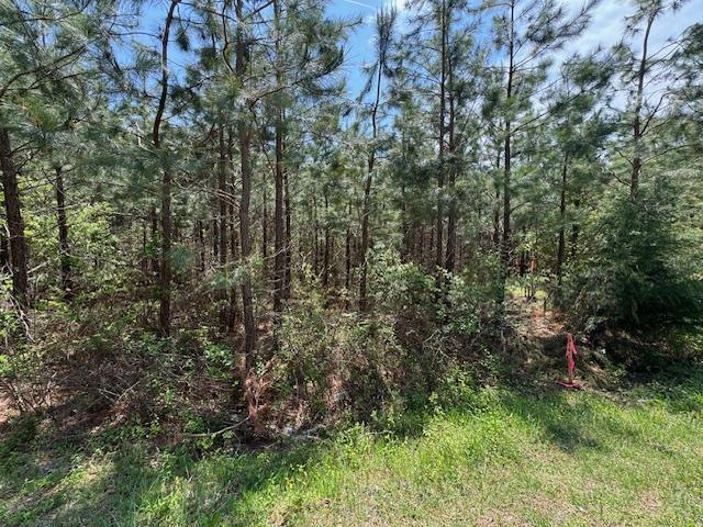 0 Spencer Rd unit 7 57122, Concord, VA 24538 - photo 1