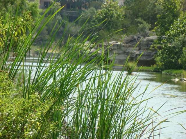 Lone Man Creek