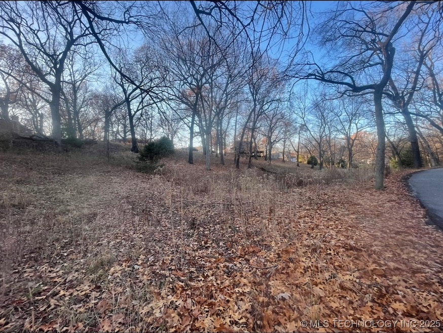 0 S Coves Dr unit 2516517, Afton, OK 74331 - photo 1