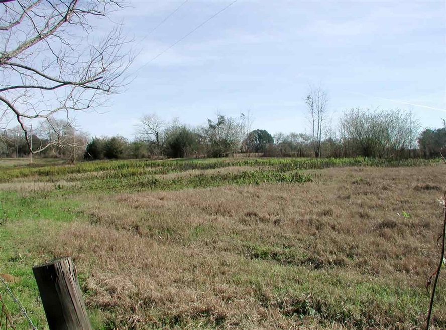 0000 Concord Rd, Havana, FL 32333 - photo 1