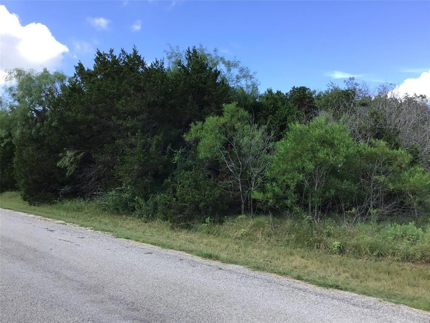 18170 Wildwood Dr, Whitney, TX 76692 - photo 1