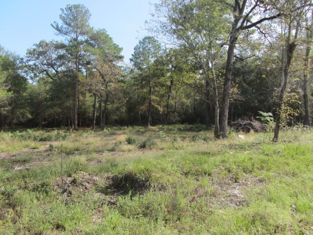 lot view