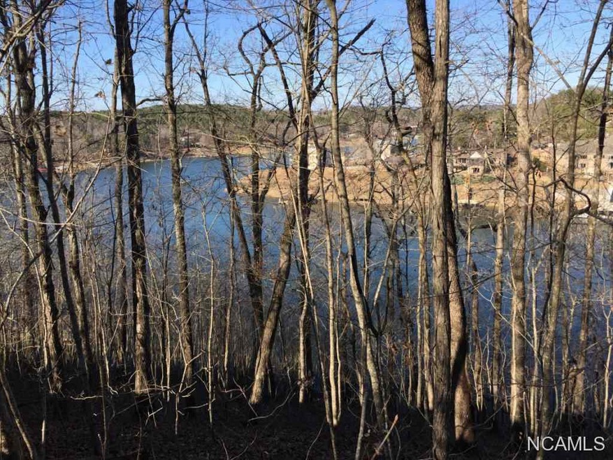 14 Crystal Cove Dr, Cullman, AL 35057 - photo 1