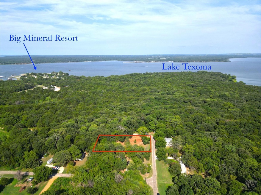 157 James Shannon Ln, Sadler, TX 76264 - photo 1