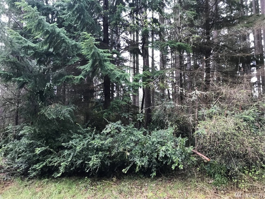 11308 Admiralty Way unit AI, Anderson Island, WA 98303 - photo 1