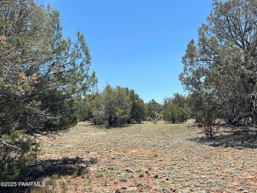 61 Rd, Ash Fork, AZ 86320 - photo 1