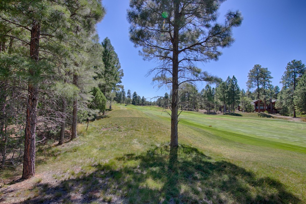 4041 W. Ninebark Torreon Land for sale