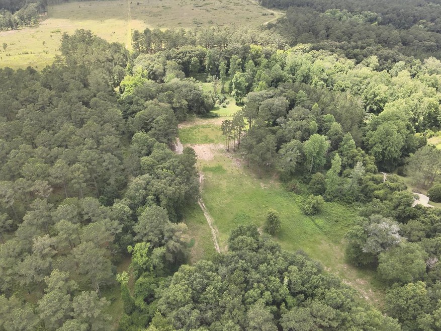 tbd County Line Rd, Pelham, GA 31779 - photo 1