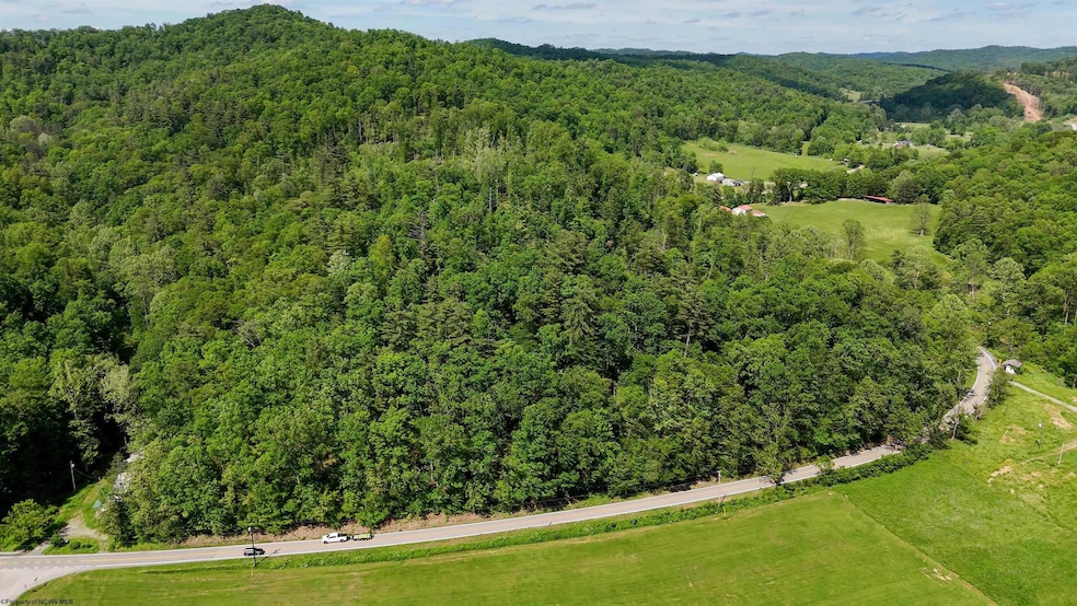 50 Wine Ln, West Union, WV 26456 - photo 1