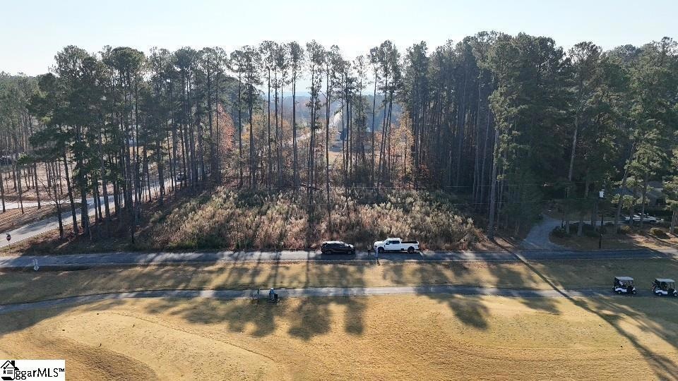 0 New Cut unit 1575580, Campobello, SC 29322 - photo 1