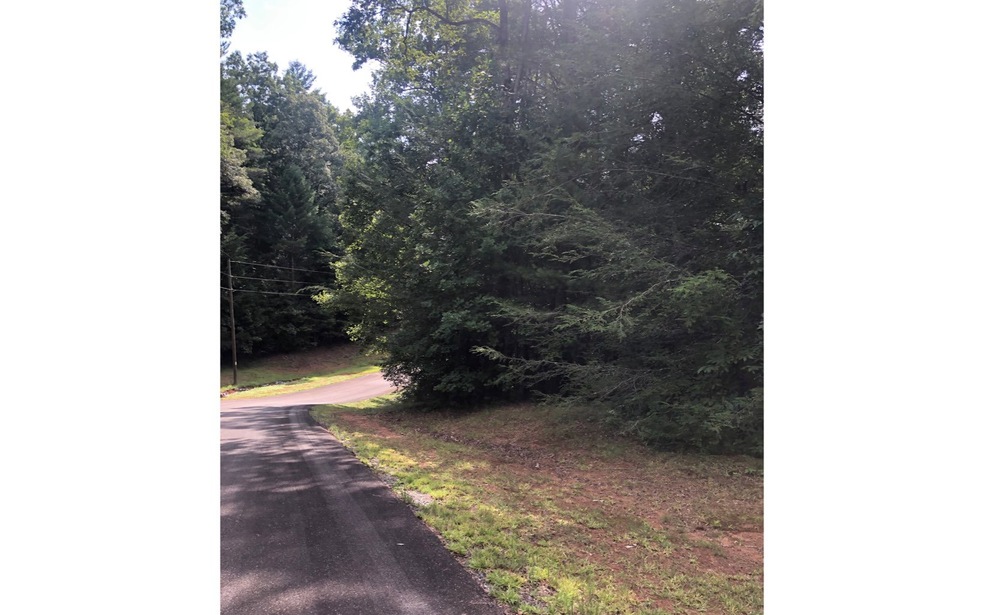 33/34 Maple Rest Ln, Ellijay, GA 30540 - photo 1