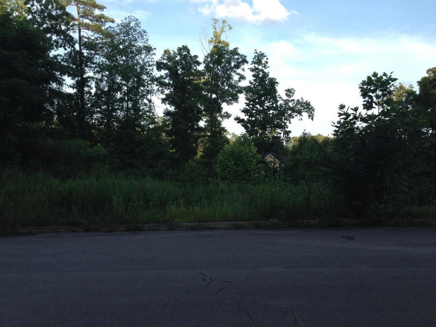 5222 McCampbell Hill Lane 1.jpg