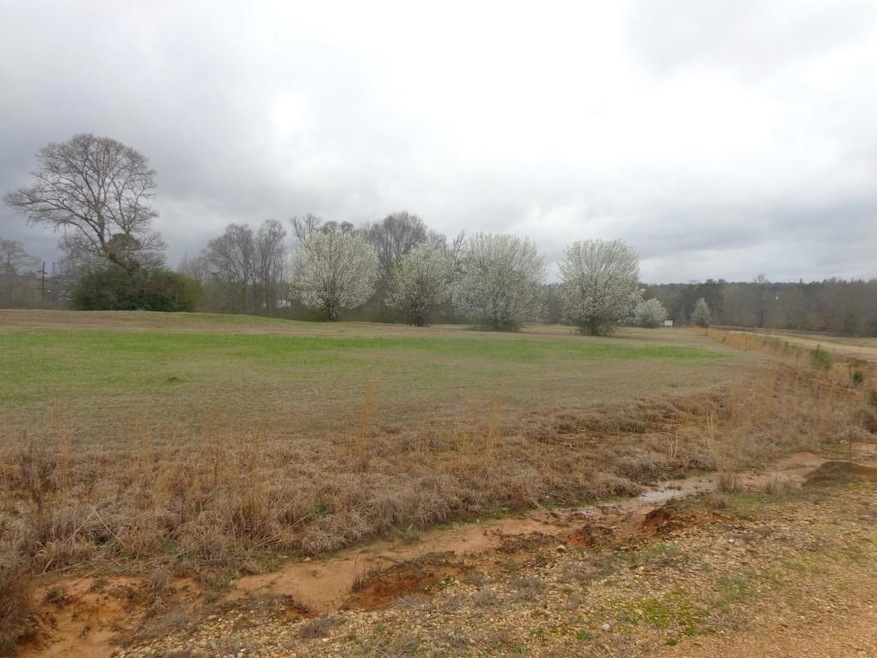 0 T C Brumfield Rd, Franklinton, LA 70438 - photo 1