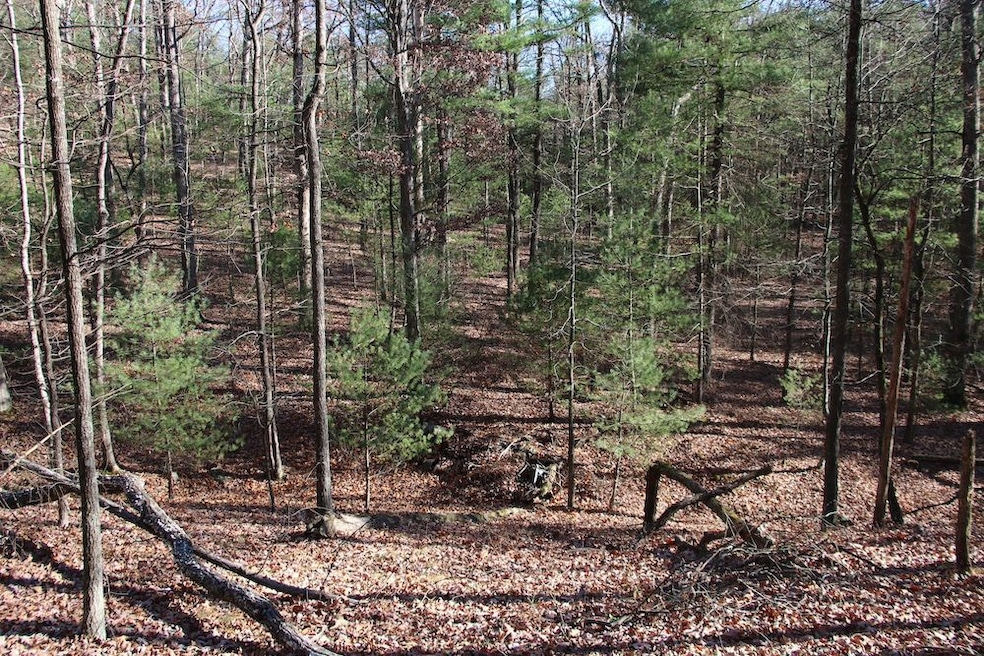 0 Rolly Rd unit LotWP001 23098894, Mount Jackson, VA 22842 - photo 1