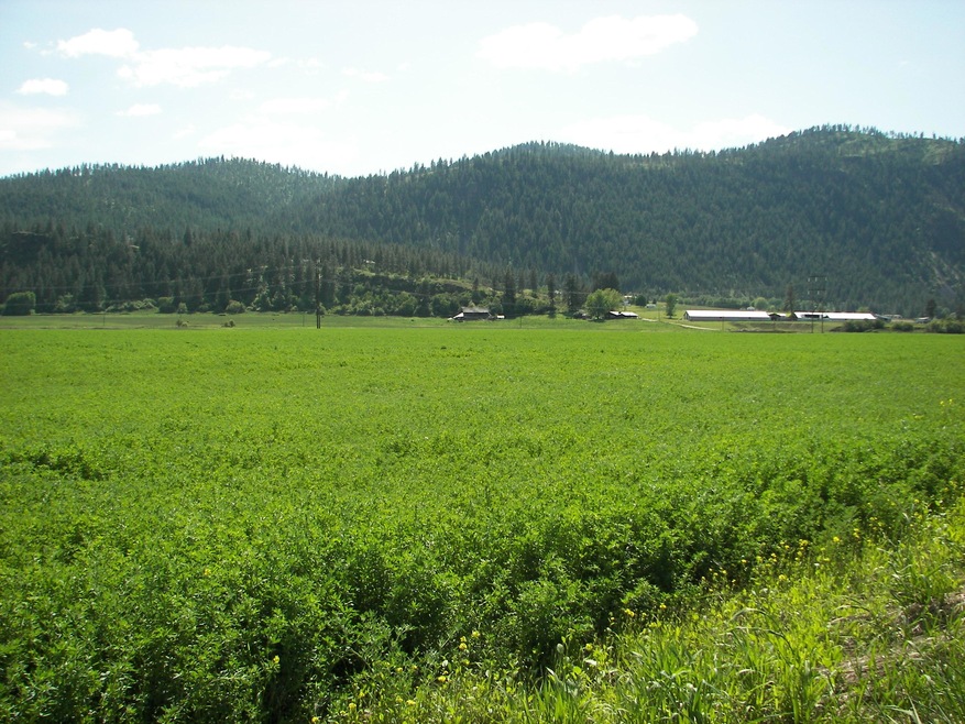 000 Schmidlekofer Rd, Chewelah, WA 99109 - photo 1