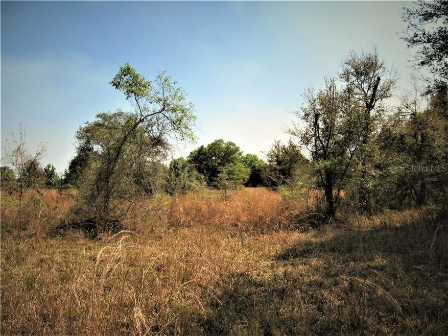 North side of acreage mostly in brush and oaks