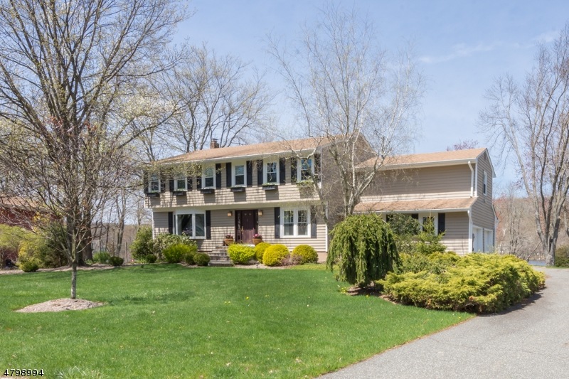 17 Meadowbrook Rd, Randolph, NJ 07869 - photo 1