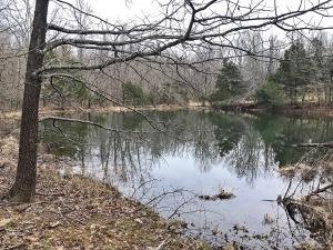 0 Lot 11 Nc 1502 unit H141177, Compton, AR 72624 - photo 1