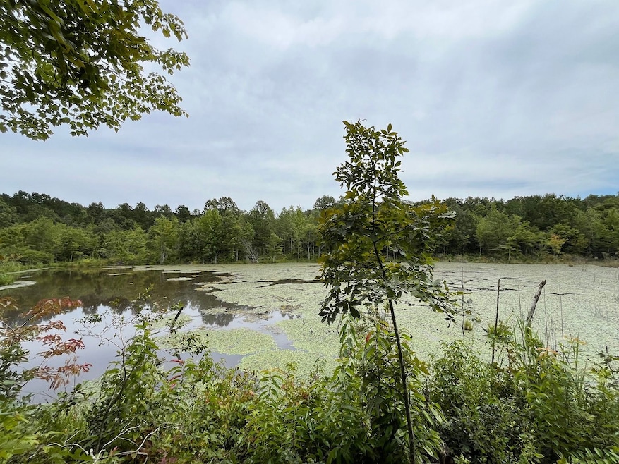 Unnamed Rd, Booneville, MS 38829 - photo 1