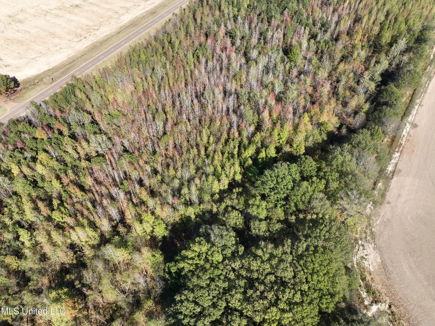 DJI_0364