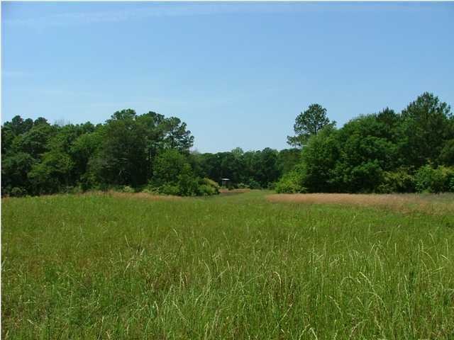 000 Mobley Rd, Sylvester, GA 31791 - photo 1