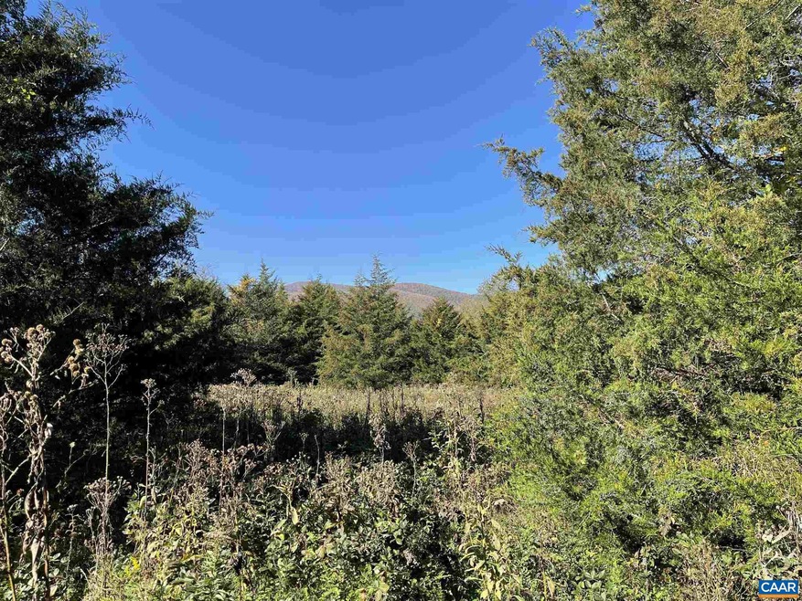 196 Hunters Point unit 11, Nellysford, VA 22958 - photo 1